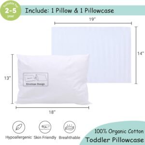 71G6qWM6CLL._SL1500_.jpg