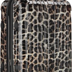 Carry On Suitcase, 20 Inch Carry On Luggage with Wheels, Hardside Large Suitcases with Wheels, TSA Lock