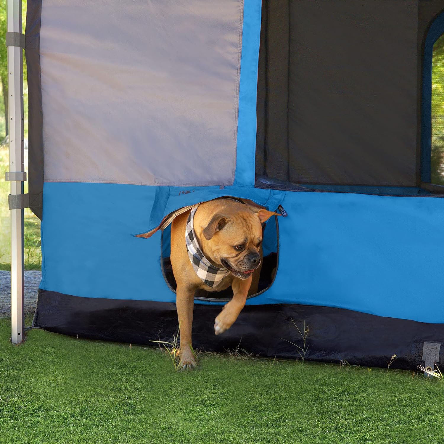 E-Z UP Camping Cube 6.4, Converts 10' Straight Leg Canopy into Camping Tent, Royal Blue (Canopy/Shelter NOT Included) - Image 4
